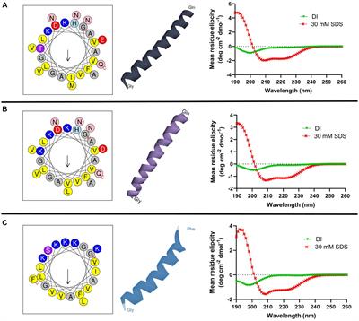 Dual antibacterial mechanism of [K4K15]CZS-1 against Salmonella Typhimurium: a membrane active and intracellular-targeting antimicrobial peptide